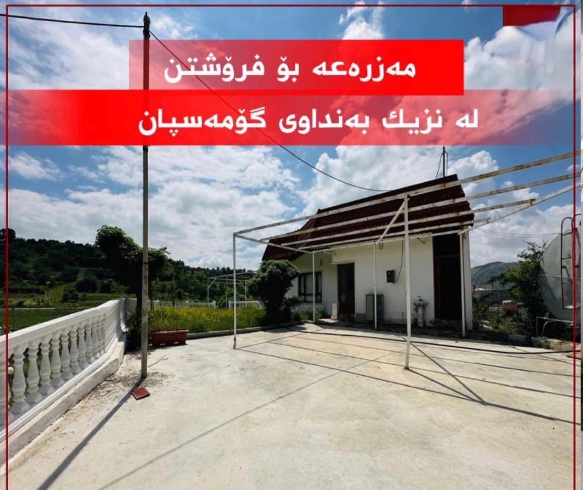 مةزرعة لة قلاسنج